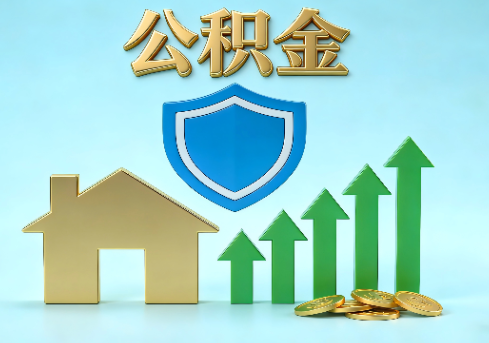 阿里当前住房公积金提取条件分类指南与政策趋势